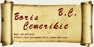 Boris Čemerikić vizit kartica